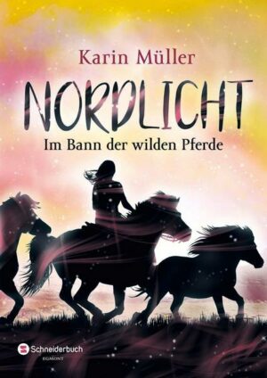 Nordlicht