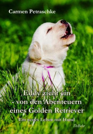 Eddy zieht ein – von den Abenteuern eines Golden Retriever - Ein neues Leben mit Hund