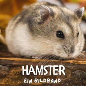 Hamster