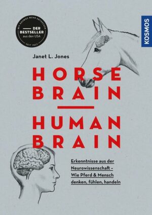 Horse Brain