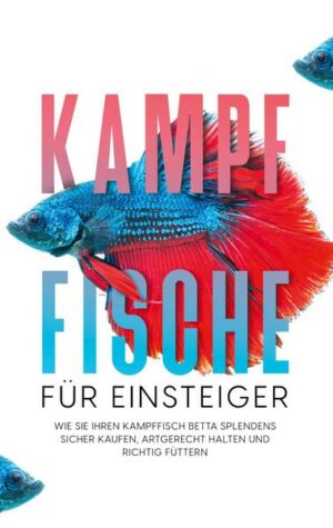 Kampffische für Einsteiger: Wie Sie Ihren Kampffisch Betta splendens sicher kaufen