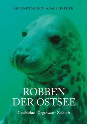 Robben der Ostsee