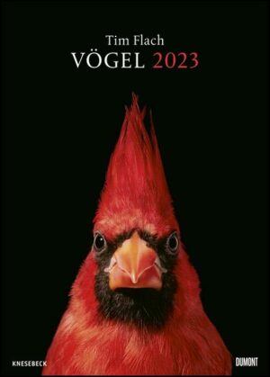 Tim Flach: Vögel 2023 – Posterkalender von DUMONT– Vogel-Porträts von Tim Flach – Poster-Format 50 x 70 cm