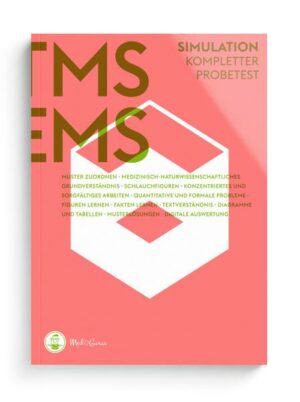 TMS & EMS Vorbereitung 2022 I Simulation