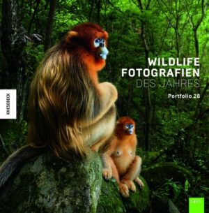 Wildlife Fotografien des Jahres – Portfolio 28
