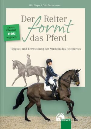 Der Reiter formt das Pferd