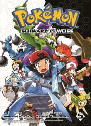 Pokémon Schwarz und Weiss 05