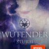 Wütender Sturm (Die Farben des Blutes 4)
