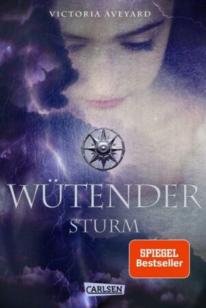 Wütender Sturm (Die Farben des Blutes 4)