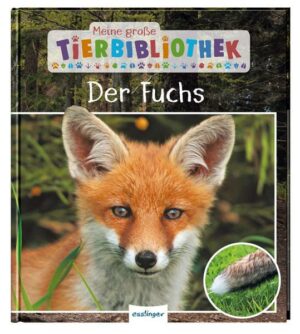 Meine große Tierbibliothek: Der Fuchs
