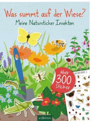 Was summt auf der Wiese? – Meine Natursticker Insekten