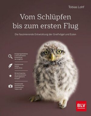 Vom Schlüpfen bis zum ersten Flug