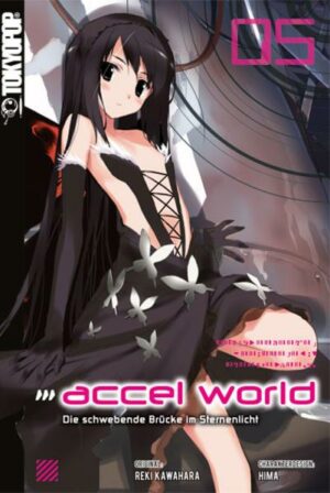 Accel World - Novel 05