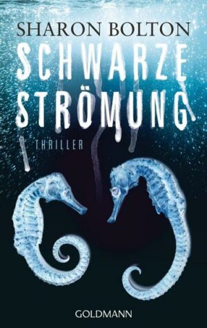 Schwarze Strömung / Lacey Flint Bd. 4