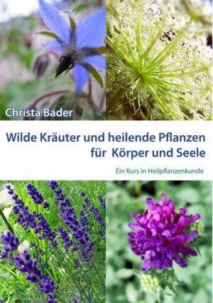 Wilde Kräuter und Heilende Pflanzen für Körper und Seele