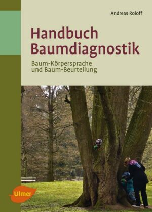 Handbuch Baumdiagnostik