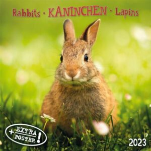 Rabbits/Kaninchen  2023