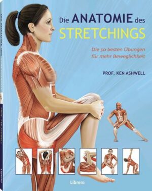 Die Anatomie des Stretchings