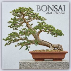 Bonsai 2023 – 16-Monatskalender
