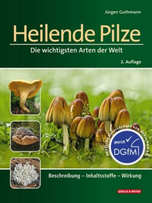 Heilende Pilze