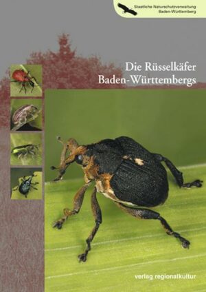 Die Rüsselkäfer Baden-Württembergs