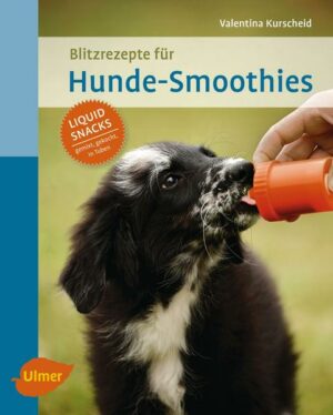 Blitzrezepte für Hunde-Smoothies