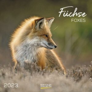 Füchse 2023