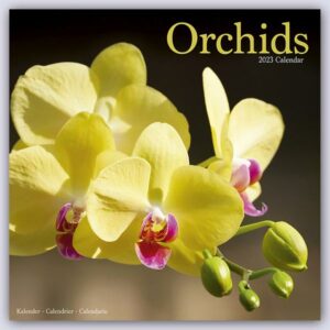 Orchids - Orchideen 2023 – 16-Monatskalender