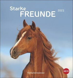 Pferde Postkartenkalender 2023