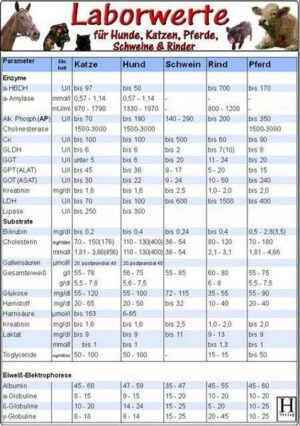 Laborwerte-Karte für Hunde