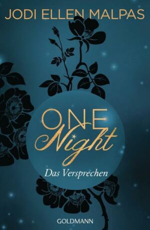 Das Versprechen / One-Night Saga Bd.3