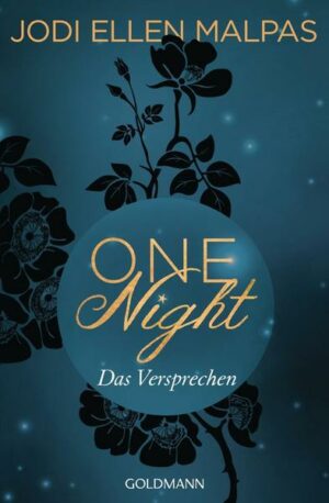 Das Versprechen / One-Night Saga Bd.3