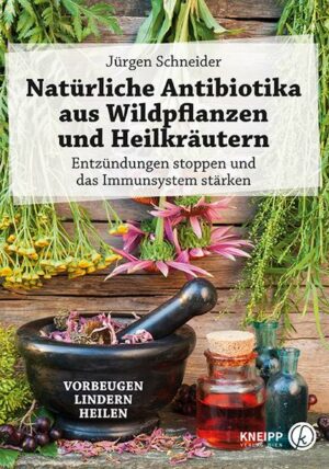 Natürliche Antibiotika aus Wildpflanzen und Heilkräutern