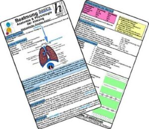 Beatmung basics - Anatomie & Physiologie der Atmung - Medizinische Taschen-Karte