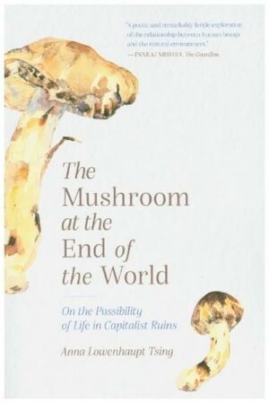 Mushroom at the End of the World