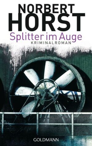 Splitter im Auge / Kommissar Steiger Bd.1