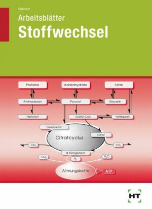 Arbeitsblätter Stoffwechsel