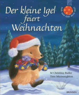 Der kleine Igel feiert Weihnachten