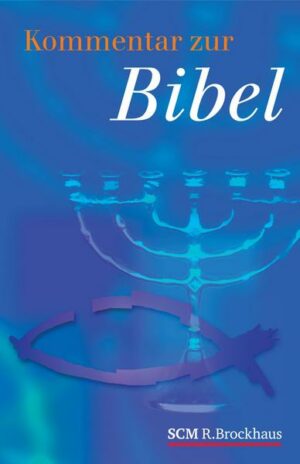 Kommentar zur Bibel