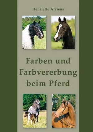 Farben und Farbvererbung beim Pferd