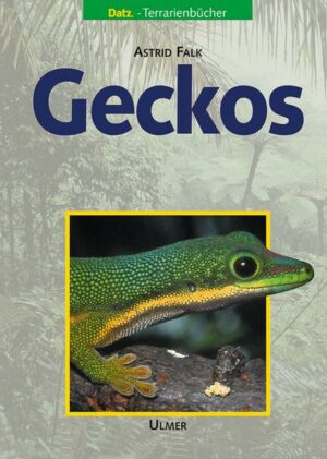 Geckos