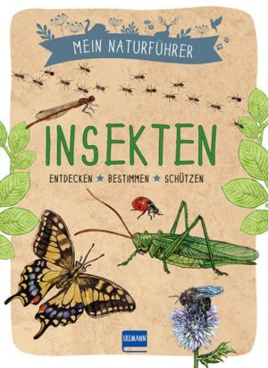 Mein Naturführer - Insekten