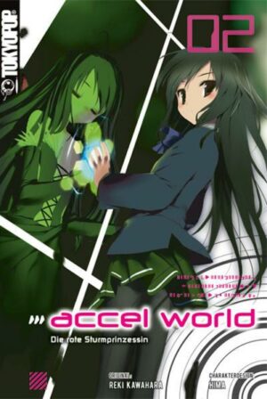 Accel World - Novel 02