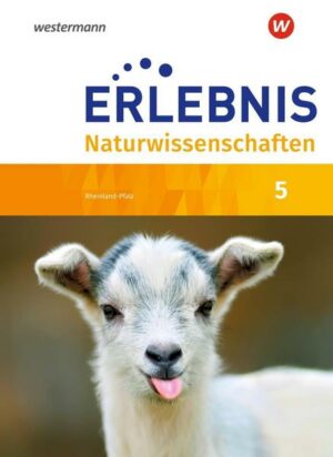 Erlebnis Naturwissenschaften / Erlebnis Naturwissenschaften - Ausgabe 2019 für Rheinland-Pfalz