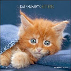 Katzenbabys 2023 - Broschürenkalender 30x30 cm (30x60 geöffnet) - Kalender mit Platz für Notizen - Wandkalender - Wandplaner - Katzenkalender