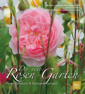 Der neue Rosen-Garten