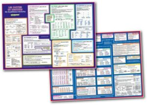 Mindmemo Lernposter 2er Set - Französische Zeiten + Wortarten Grammatik lernen Grundwissen Lernhilfe