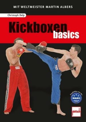 Kickboxen basics