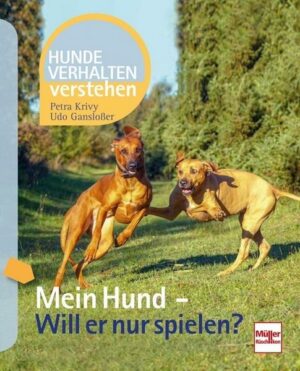 Mein Hund - Will er nur spielen?