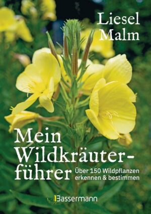 Mein Wildkräuterführer. Über 150 Wildpflanzen sammeln